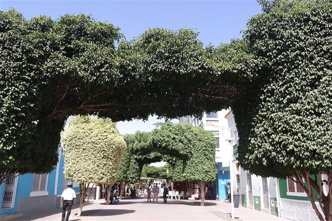 Guided city Tour Praia, Highlights tour - Sucupira Market, the tour’s liveliest finish