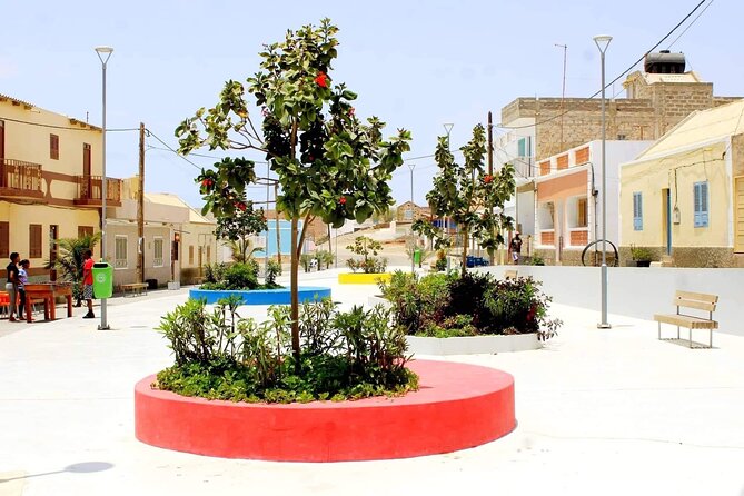 Guided Full Day Island Tour in Boa Vista with Lunch - Santa Monica Beach: Boa Vista’s Wide-Open Coast