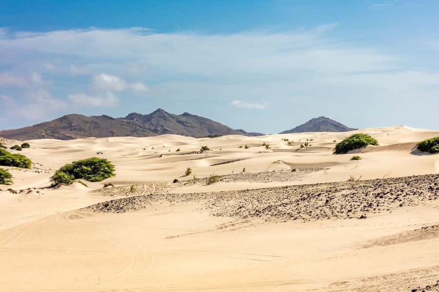 Half Day 4x4 Tour with Viana Desert and Villages - Rabil and the weathered Church of Saint Roque
