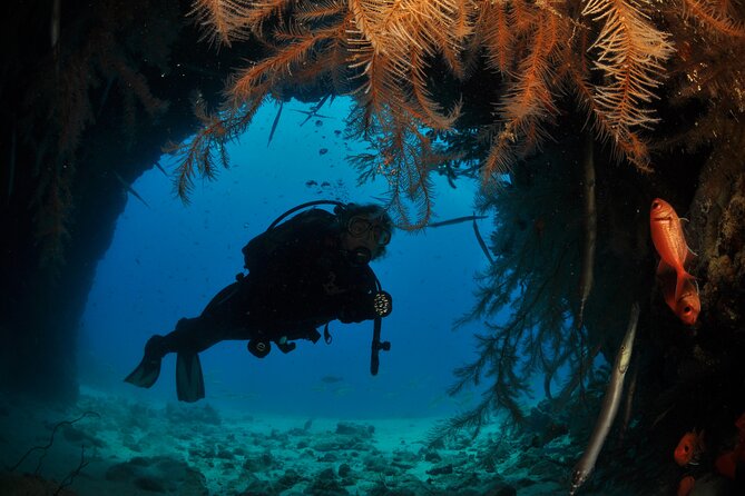 Half-Day Diving in Sal - Key points to know before booking