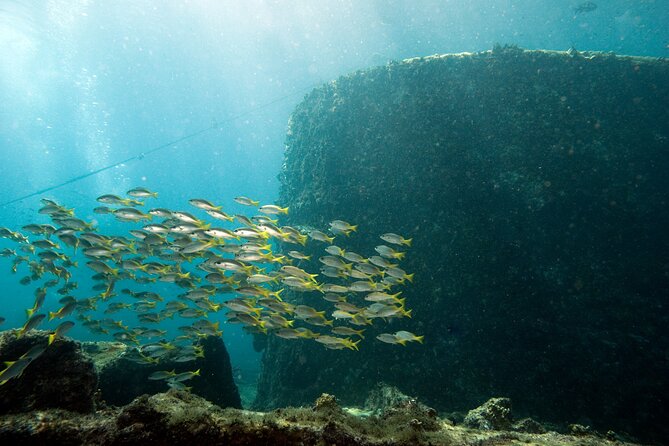 Half-Day Diving in Sal - Is $109.34 a fair price?