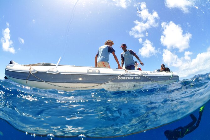 Half-Day Diving in Sal - Who will enjoy this Sal excursion most?