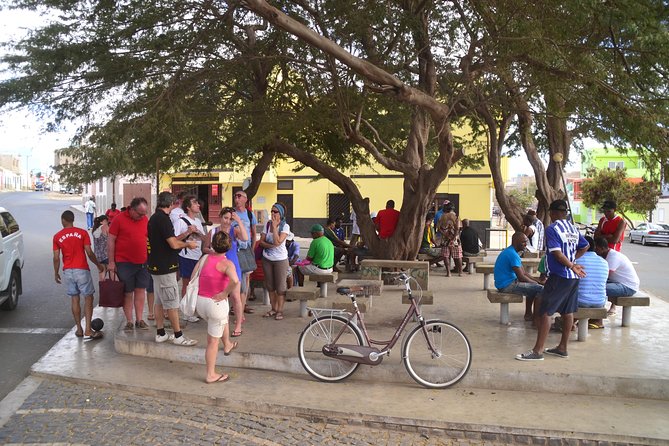 Half-Day Sal Island Tour with Shark Experience from Santa Maria - Starting from Santa Maria at 9 a.m.
