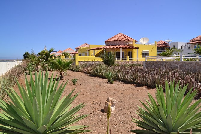 Half-Day Sal Island Tour with Shark Experience from Santa Maria - Palmeira, Sal’s colorful port village