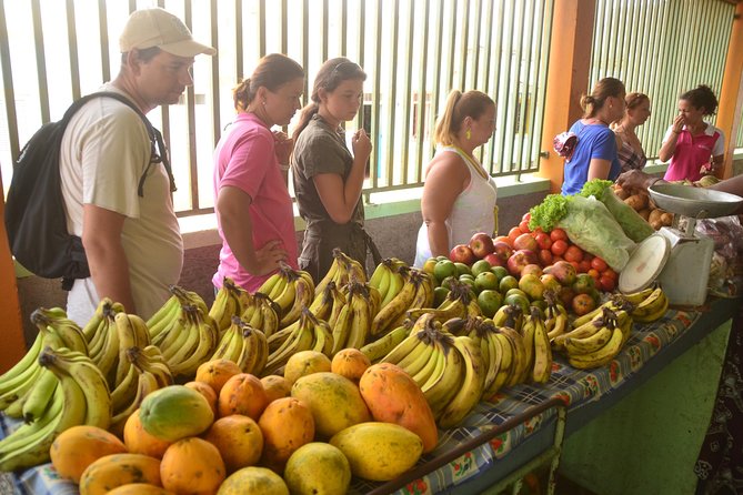 Half-Day Sal Island Tour with Shark Experience from Santa Maria - Pedra de Lume and the island’s salt past