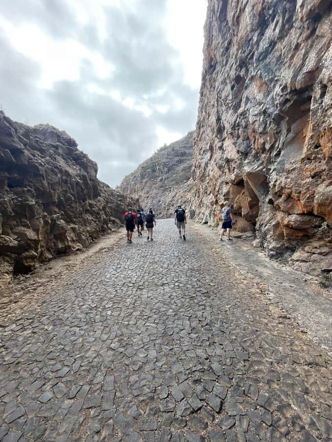 Hike Monte Verde - Key points to know before you go