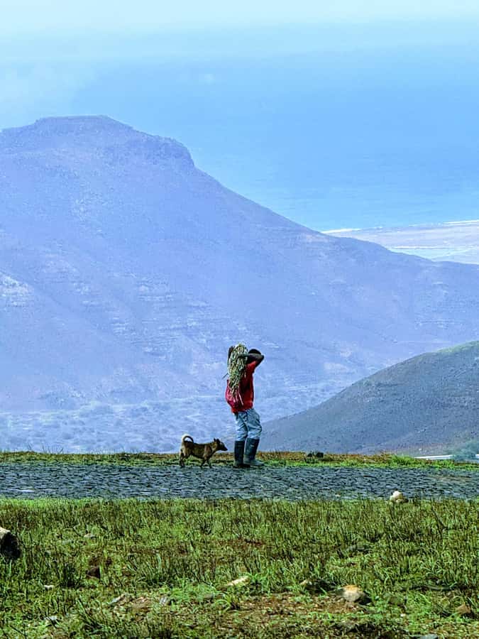 Hike Monte Verde - The first climb uses an old donkey path
