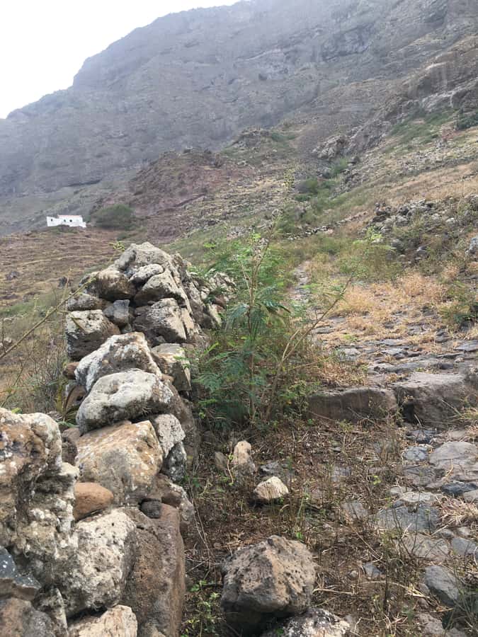 Hike Monte Verde - The road section is easier but less scenic