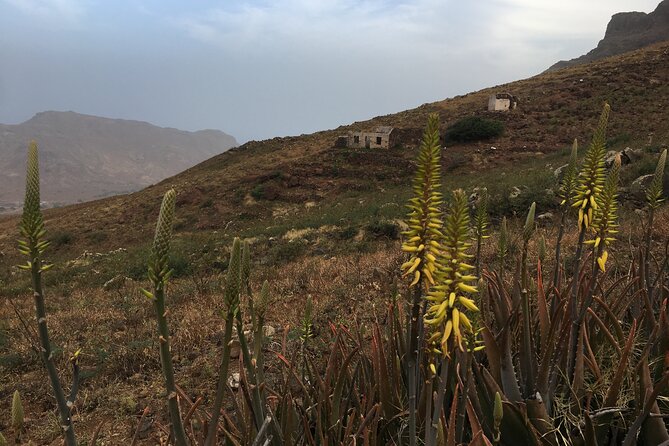Hike Monte Verde, Natural Park, São Vicente, 3h +/- (roundtrip) - What $70.47 gets you
