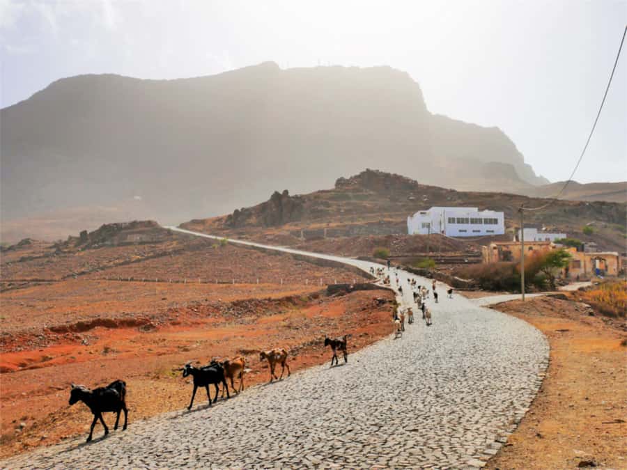 Hike to the highest point of Monte verde - Why Monte Verde feels different from the rest of São Vicente