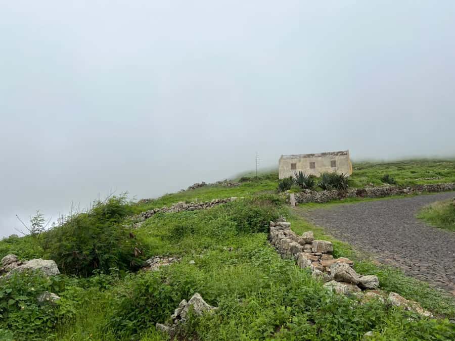 Hike to the highest point of Monte verde - The final 2 kilometers bring the real trail