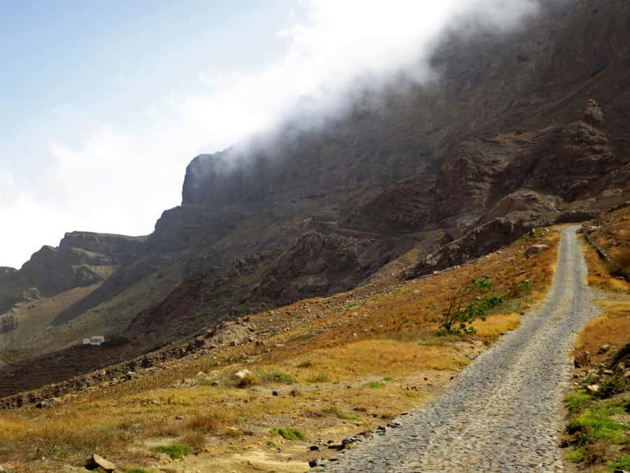 Hike to the highest point of Monte verde - Pickup from your hotel or cruise ship port