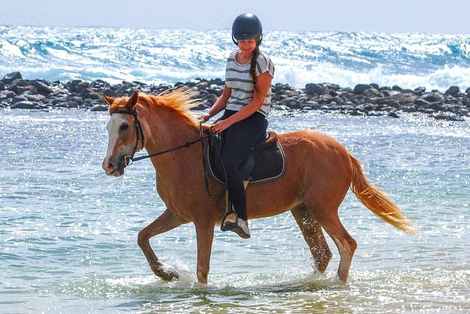 Horse Riding in Sal Island - Cabo Verde - At a glance: what makes this ride worth considering