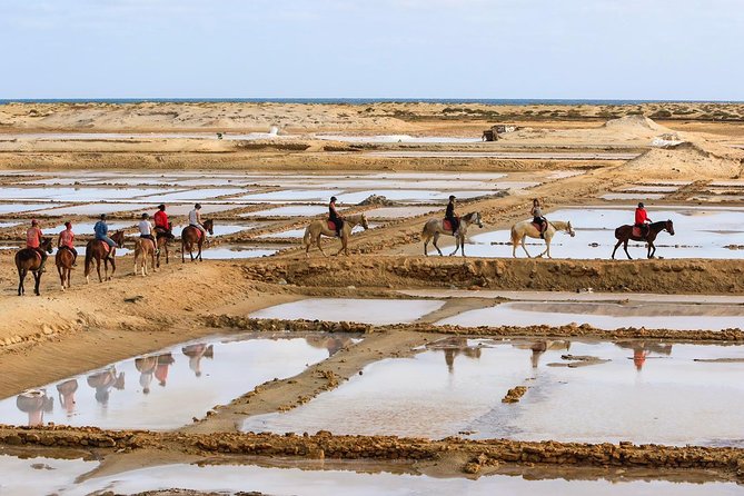 Horse Riding in Sal Island - Cabo Verde - Crossing Sal’s dunes and the Big Salt Mines