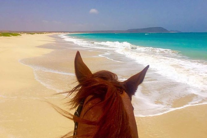 Horse Riding in Sal Island - Cabo Verde - Continuing toward Kite Beach