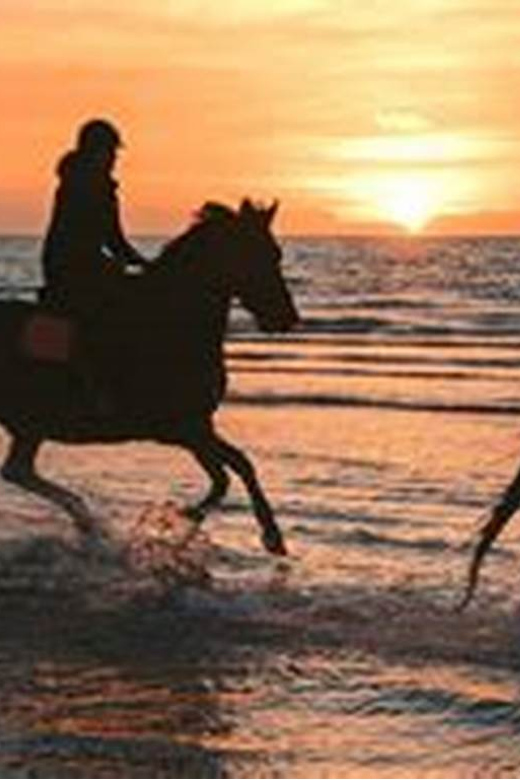 Horseback riding in Boavista for beginners - Starting opposite Riu Palace