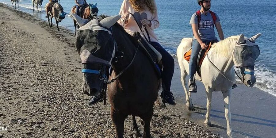 Horseback riding in Boavista for beginners - Riding beside the sea on Boa Vista