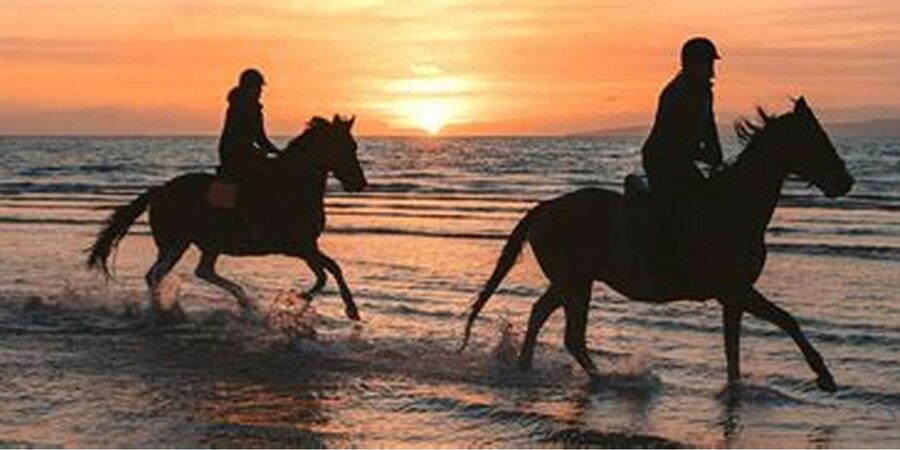 Horseback riding in Boavista for beginners - How much independence will you have?