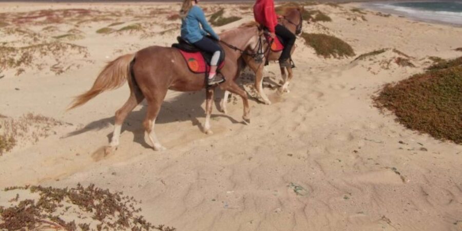 Horseback riding in Boavista for beginners - Is $81 a fair price?