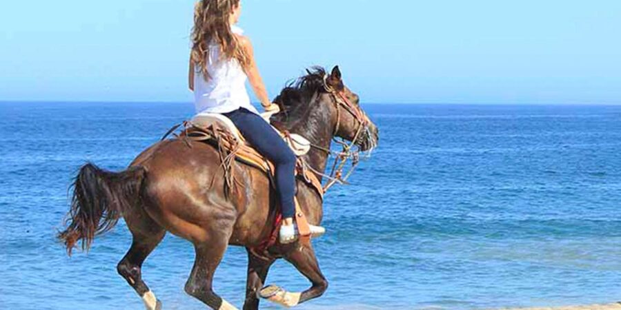 Horseback riding in Boavista for beginners - The safety briefing and choosing your pace