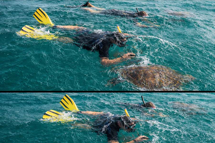 Ilha Do Sal: Snorkeling with Local Guide - The guide can make the difference