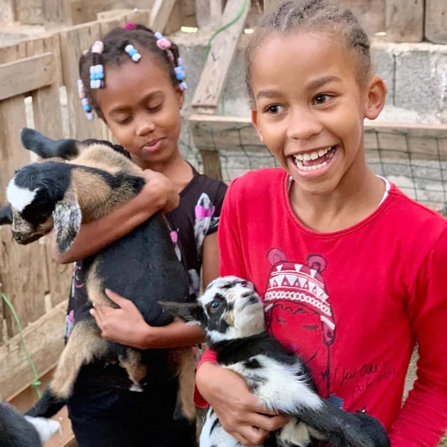 Island tour & cattle & Taste local flavors - Why this Boa Vista tour feels different