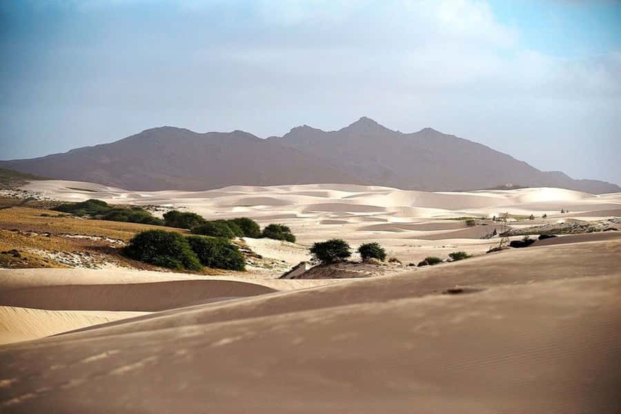 Island tour & cattle & Taste local flavors - The Road of 66 and volcanic scenery on the way home