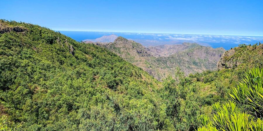 Island tour with German-speaking guide for cruise guests - Serra Malagueta Natural Park and the mountain views