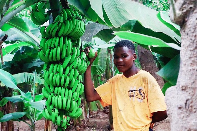 Like Locals: Banana Plantation, and Cuscuz with locals - Five things to know before you go