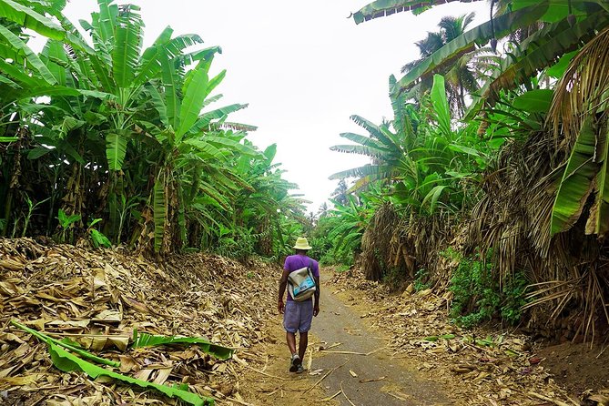 Like Locals: Banana Plantation, and Cuscuz with locals - From Praia to Santa Cruz in 30 minutes