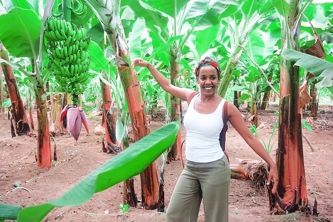 Like Locals: Banana Plantation, and Cuscuz with locals - Rum, sugarcane, and the flavor of Santiago
