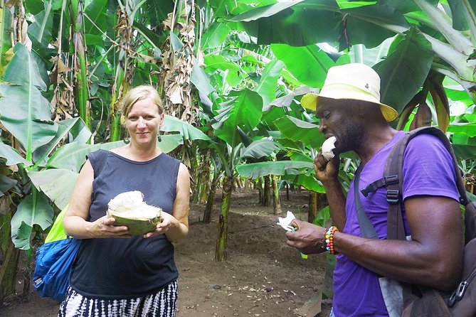 Like Locals: Banana Plantation, and Cuscuz with locals - Who will enjoy this four-hour outing?