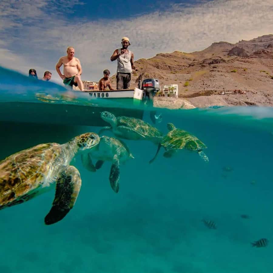 Live Snorkeling & Swimming with Sea Turtles in the Atlantic - From Mindelo to São Pedro in 15 minutes