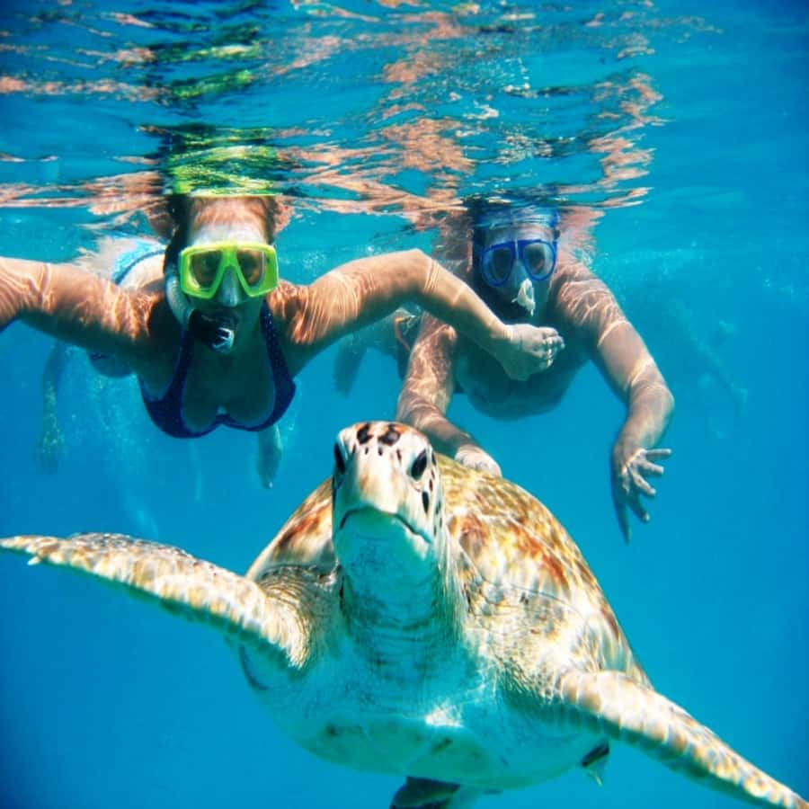 Live Snorkeling & Swimming with Sea Turtles in the Atlantic - Boarding the fishing boat at São Pedro Beach