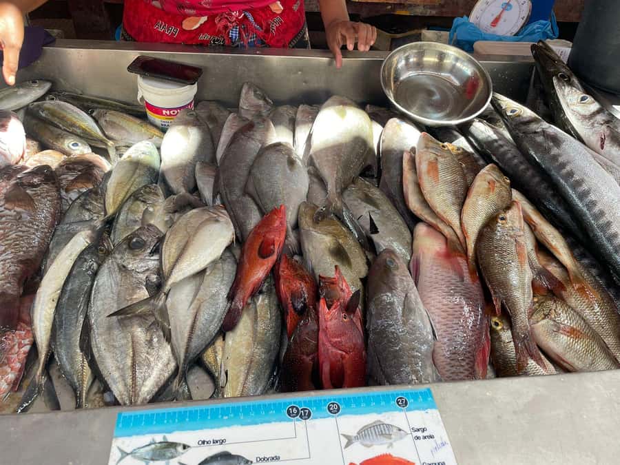 Mindelo City Walking Tour - Is $53 a fair price?