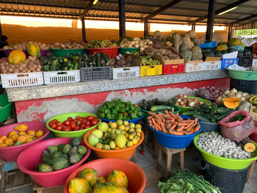 Mindelo Cultural: city tour with live music and tasting - Who should book this four-hour experience