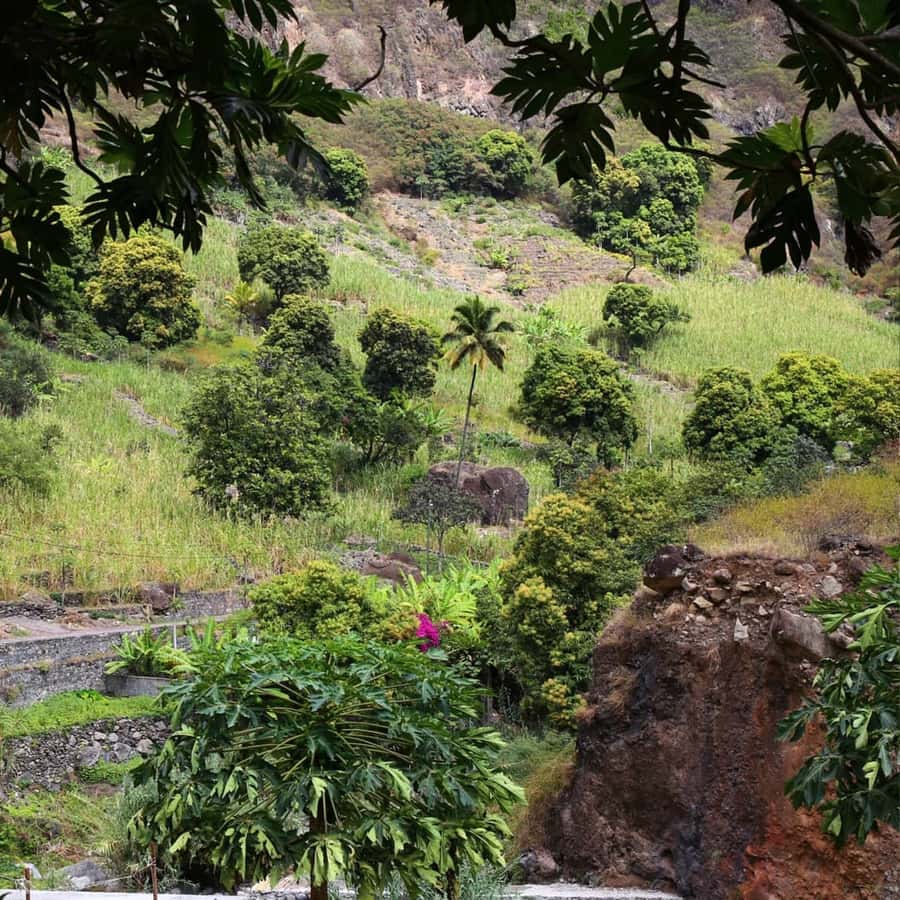 Paúl hike, the green garden - Final verdict: book it for the full Paúl experience