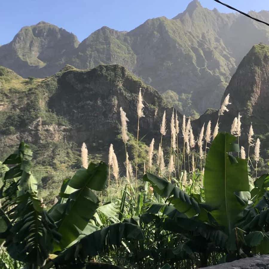 Paúl hike, the green garden - Booking details that matter
