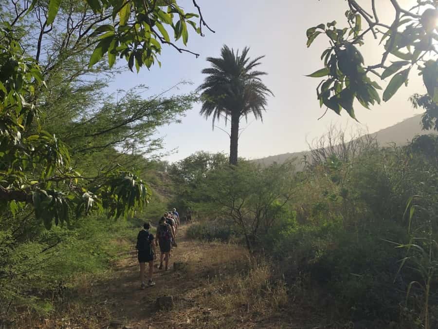 Praia: Baobab Mysterious Tree, Green Valley & Old City Hike - Practical advice for a better day
