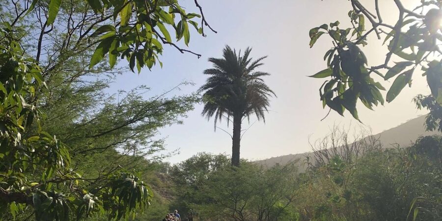 Praia: Baobab Mysterious Tree, Green Valley & Old City Hike - Walking into Cidade Velha’s past