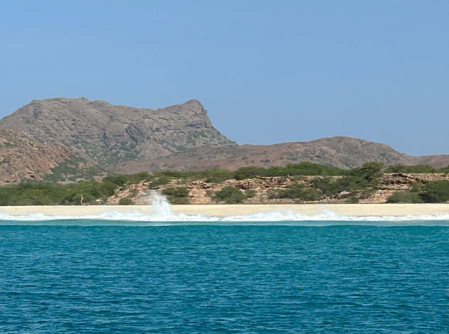 Premium - Private Boat Tour Boa Vista - A closer look at Jenny, the Wellcraft 222 Fisherman