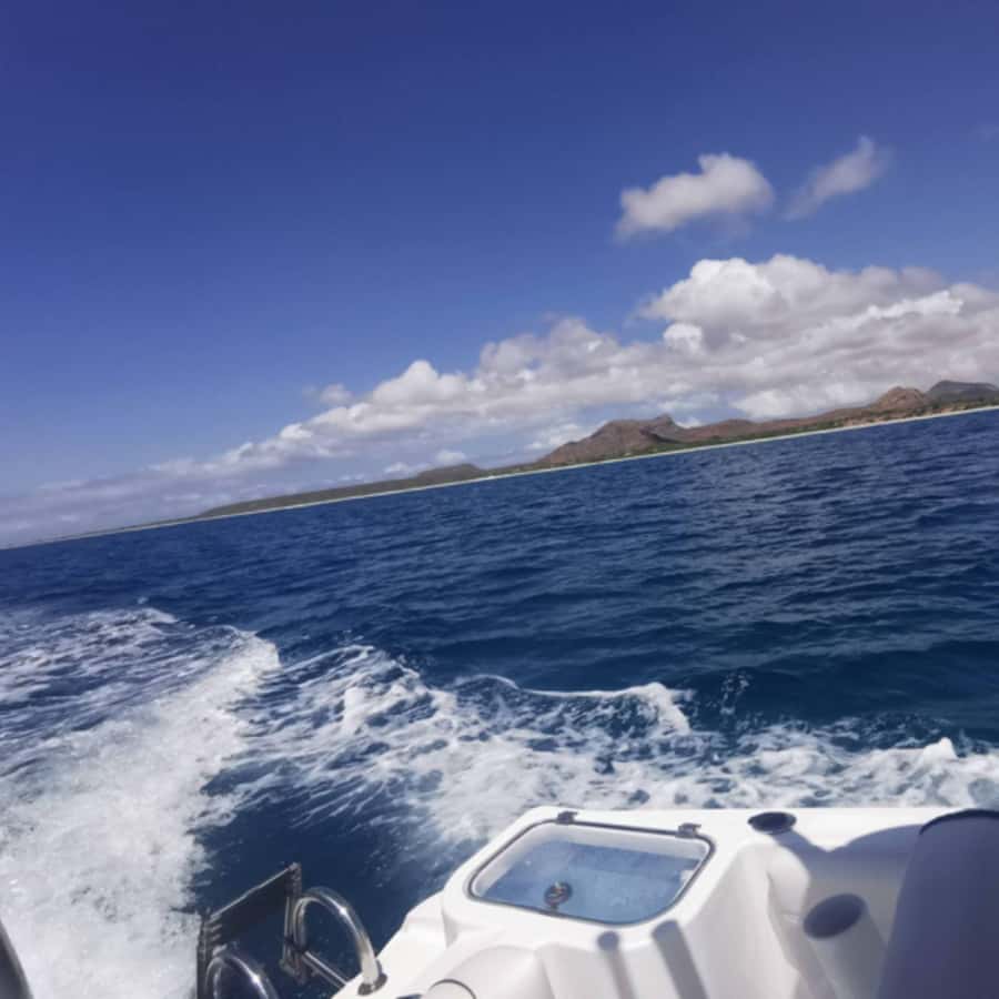 Premium - Private Boat Tour Boa Vista - Swimming and snorkeling stops