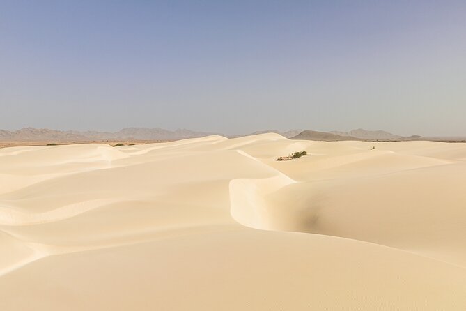 Private 4WD Tour Sun and Fun in Boa Vista - Morro de Areia: sand, speed, and a high dune viewpoint