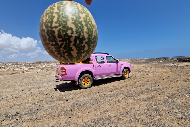 Private Creative Pictures Full Day Island Tour (Off Road inc.) - Espargos, lunch, and the mirage at Terra Boa
