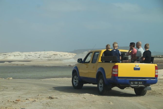 Private Sal Island Tour Authentic Experience from Santa Maria - Shark Bay and lemon sharks up close