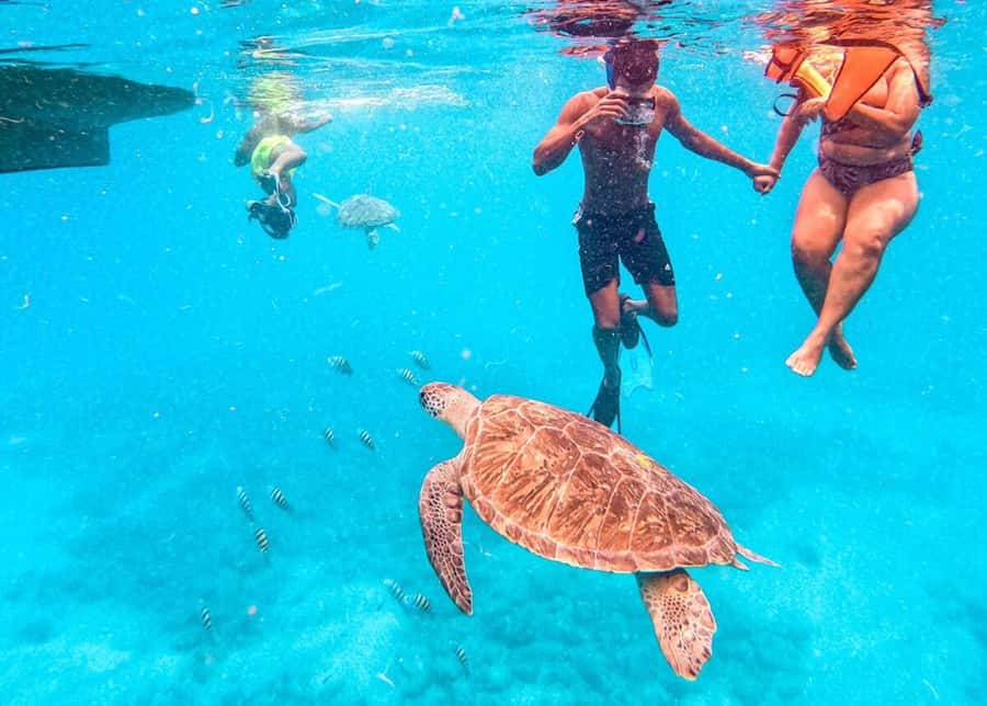 Private Snorkel Experience with Sea Turtle for Cruisers - Getting Fitted With Mask, Fins, and a Life Jacket