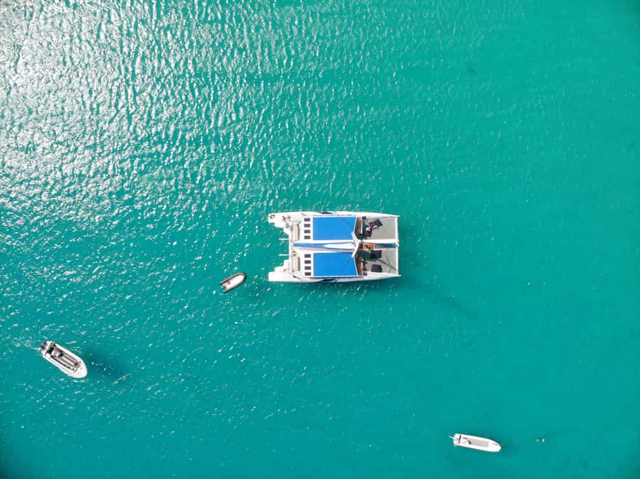 Sal: All-Inclusive Half-Day Lounge Catamaran Cruise - Swimming, snorkeling, and fishing near Lion Mountain
