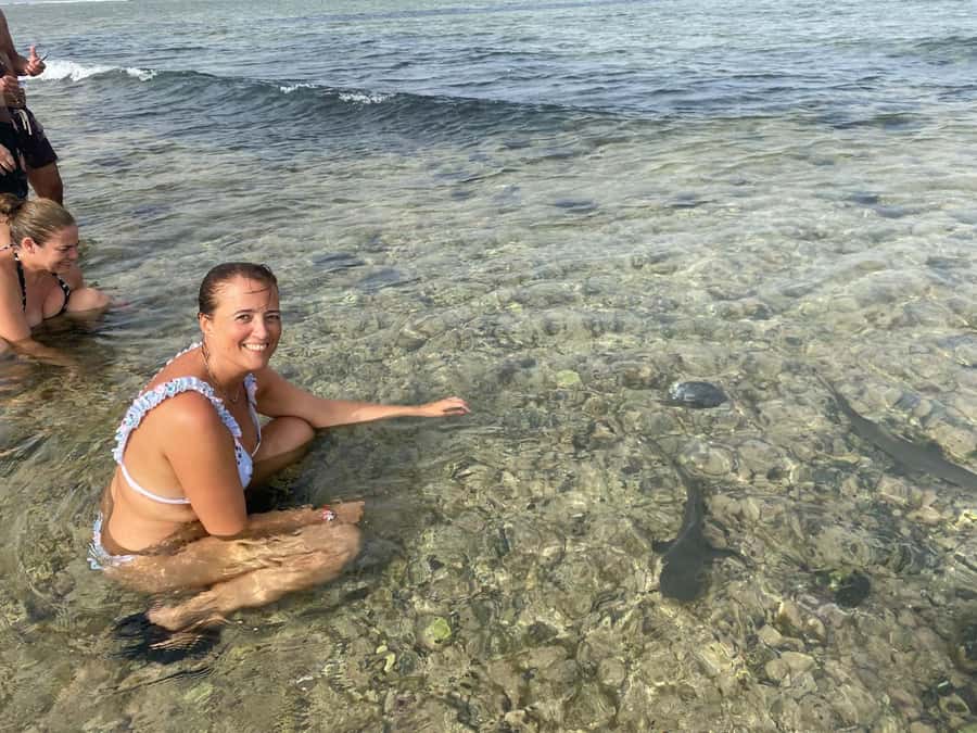 Sal: All inclusive Salt Lake, Natural pools and Shark Bay - Why the private format matters
