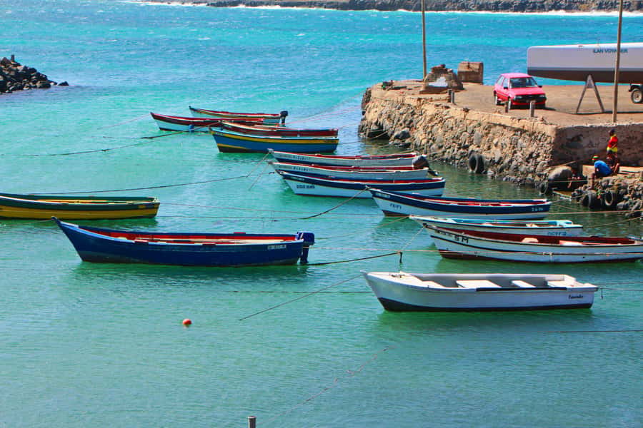 Sal island : Full day excursion Salinas, Shark Bay, Blue Eye - Key points before you book