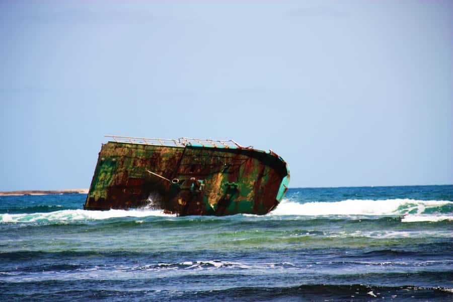 Sal island : Full day excursion Salinas, Shark Bay, Blue Eye - Shark Bay: the island’s best close encounter